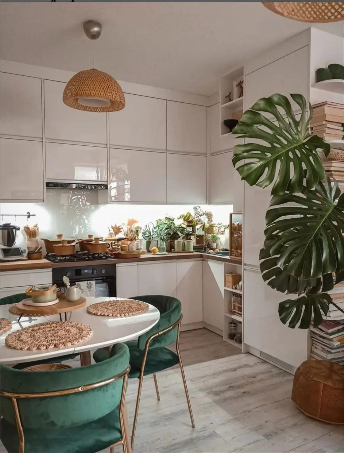 12321 colorful kitchen accents