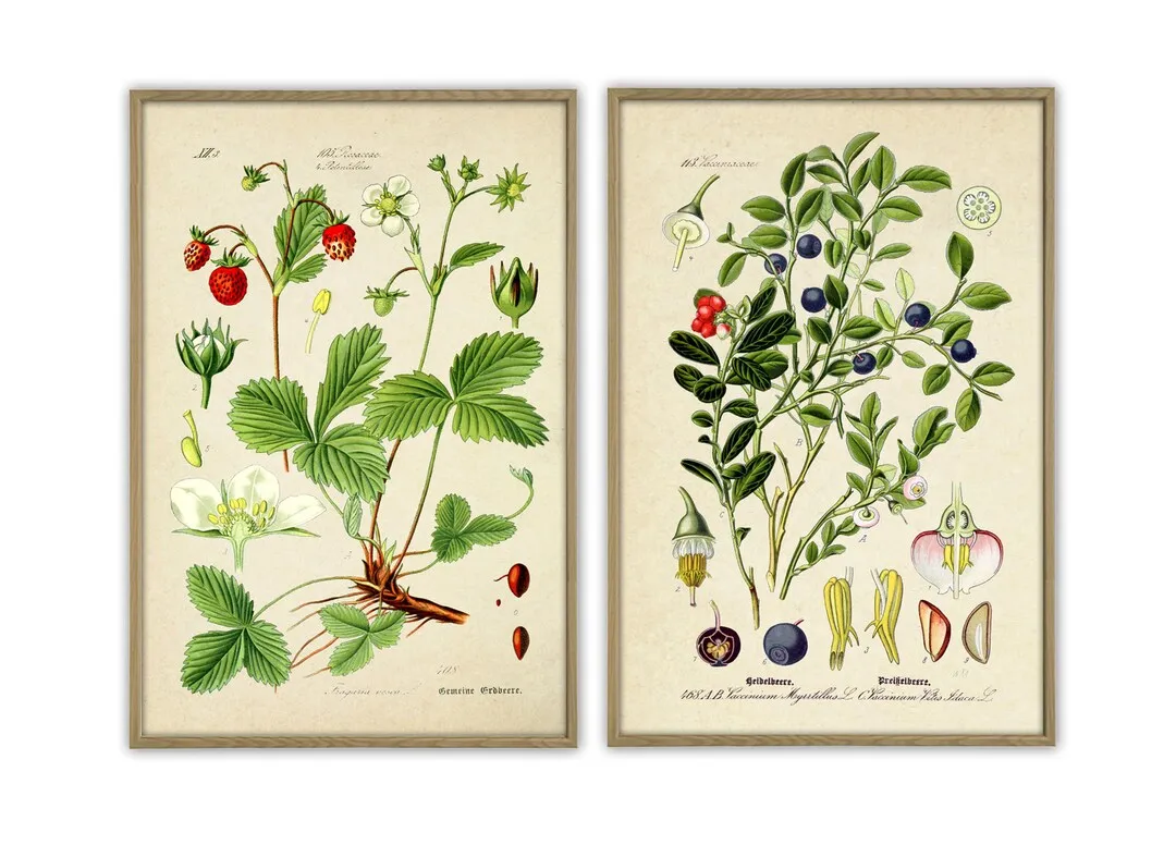 12499 berry kitchen cabinets