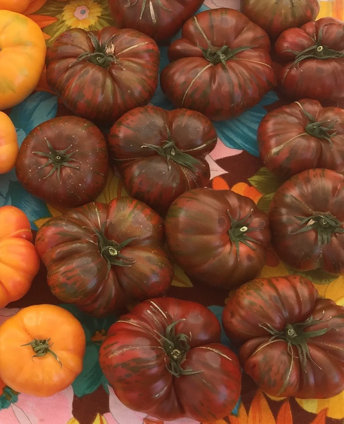 12591 tomato kitchen linens